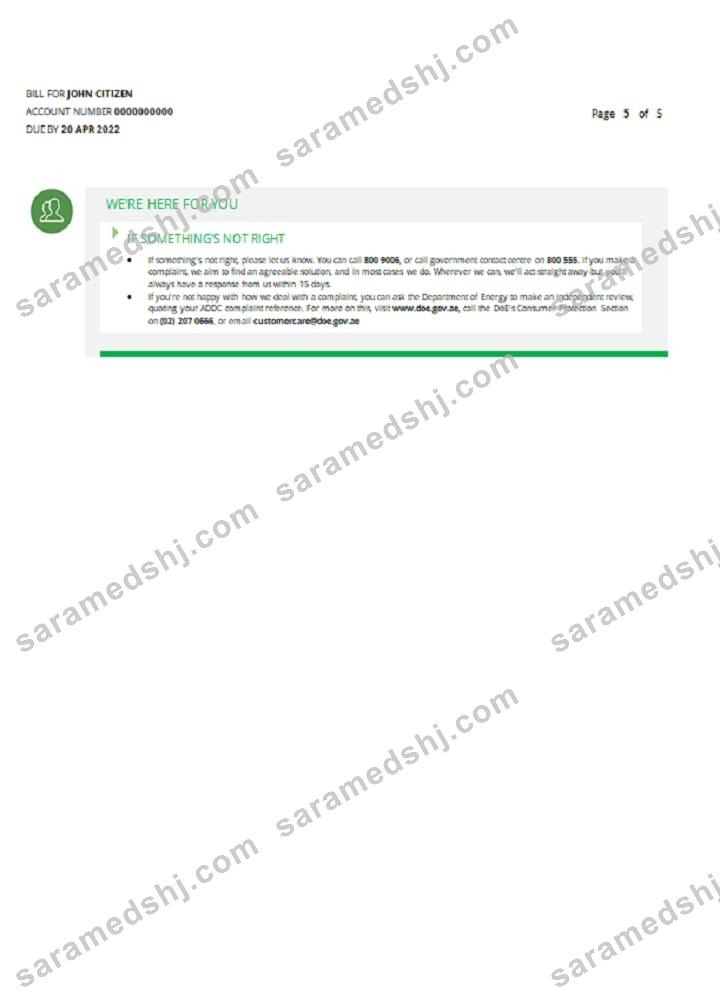 UAE Sharjah Al Ain Distribution Co. Word and PDF utility bill template (5 pages) 5